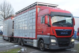 MAN TGX 26.420 Euro 6/ AT 18/73 djurtransport + djurtransport trailer