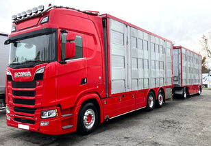 Scania S650 djurtransport + djurtransport trailer
