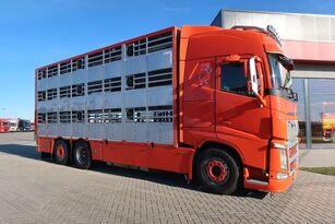 Volvo FH 460 djurtransport